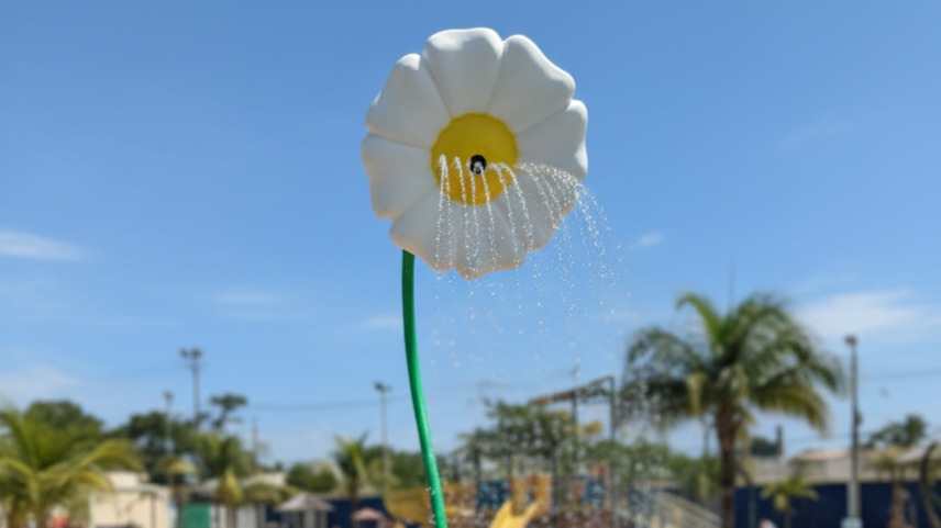 Esguicho Margarida
